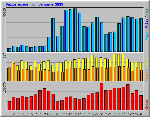 Daily usage for January 2025