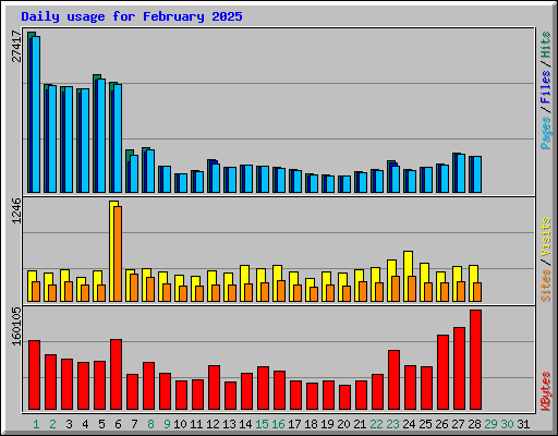 Daily usage for February 2025