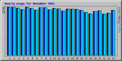 Hourly usage for November 2021