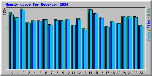 Hourly usage for December 2024