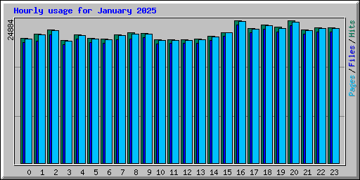 Hourly usage for January 2025