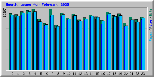 Hourly usage for February 2025