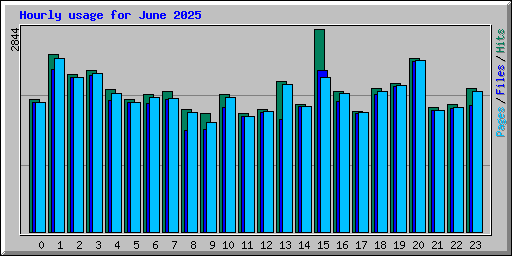 Hourly usage for June 2025