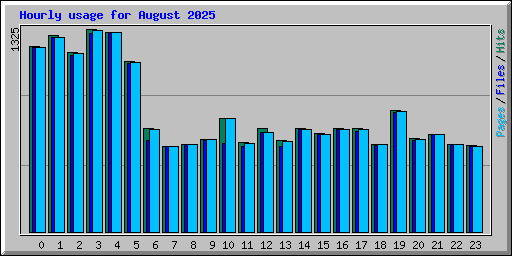 Hourly usage for August 2025